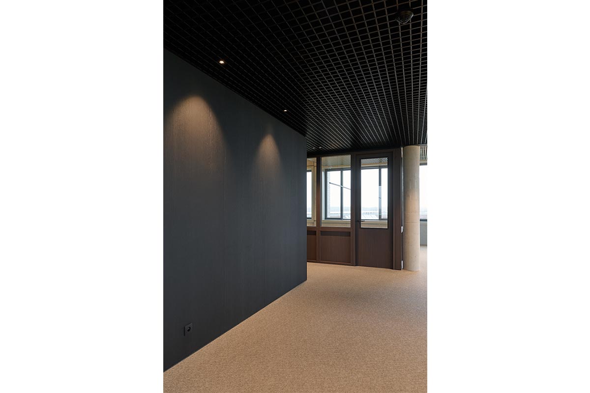 8002 UMBER BROWN 14.jpg